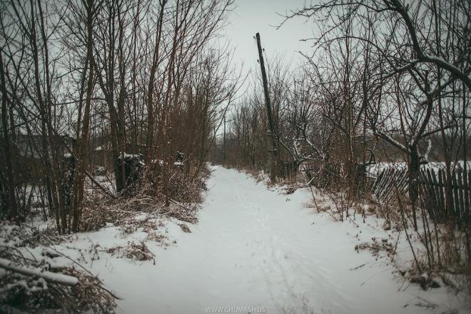 10841950_931165996936363_7117236710858709107_o